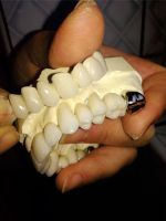 stomatologie05